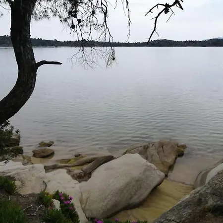 Wood & Stone Dream View House B