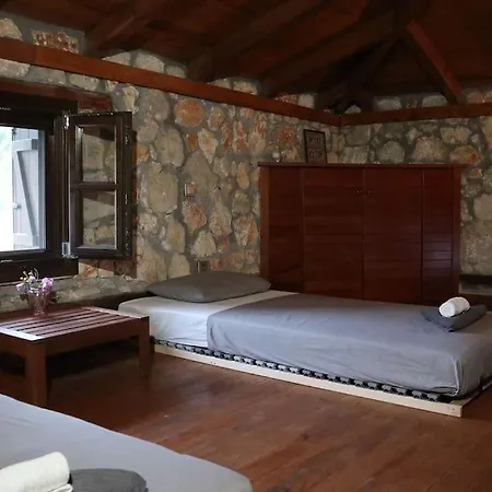 Wood & Stone Dream View House B