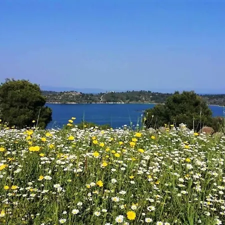 Wood & Stone Dream View House B Holiday home *