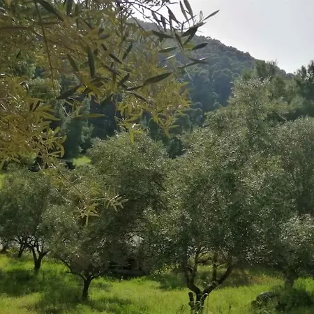 Holiday home Wood & Stone Dream View House B Diaporos