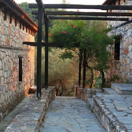 Wood & Stone Dream View House B