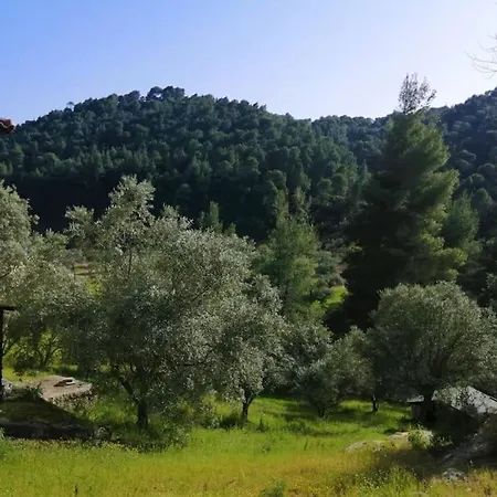 Casa vacanze Wood & Stone Dream View House B *